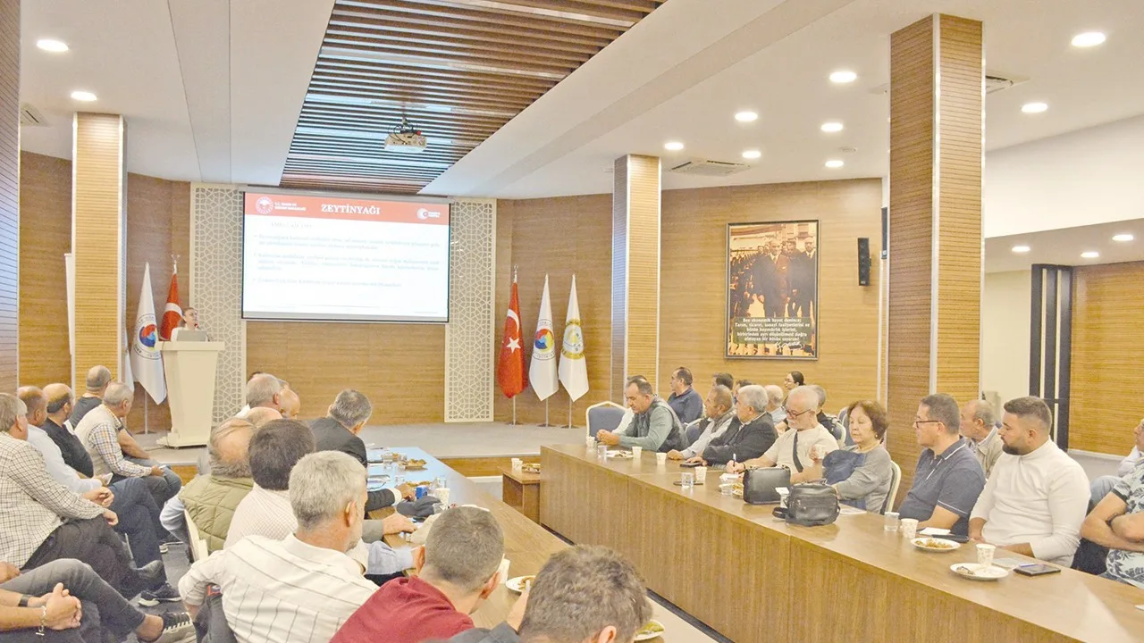 Manisa’da zeytinyağında rekor rekolte beklentisi, üreticiden destek çağrısı