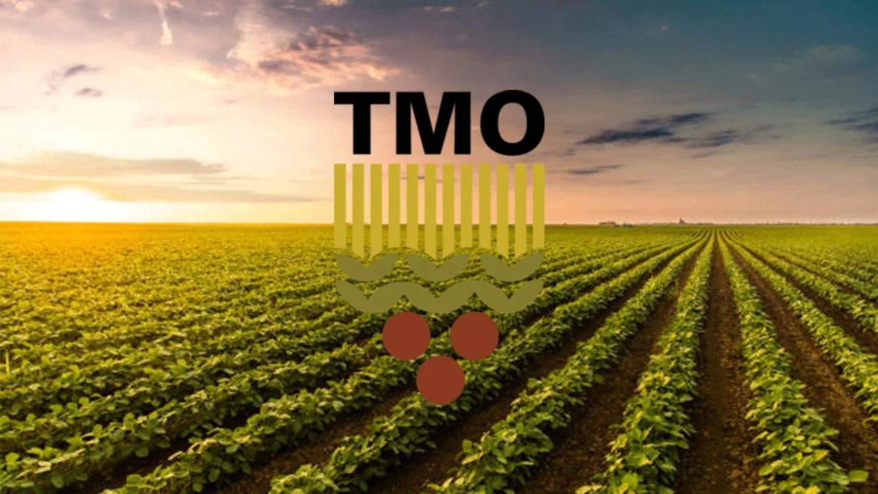 TMO, fındık üreticilerine ilave randevu hakkı tanıdı