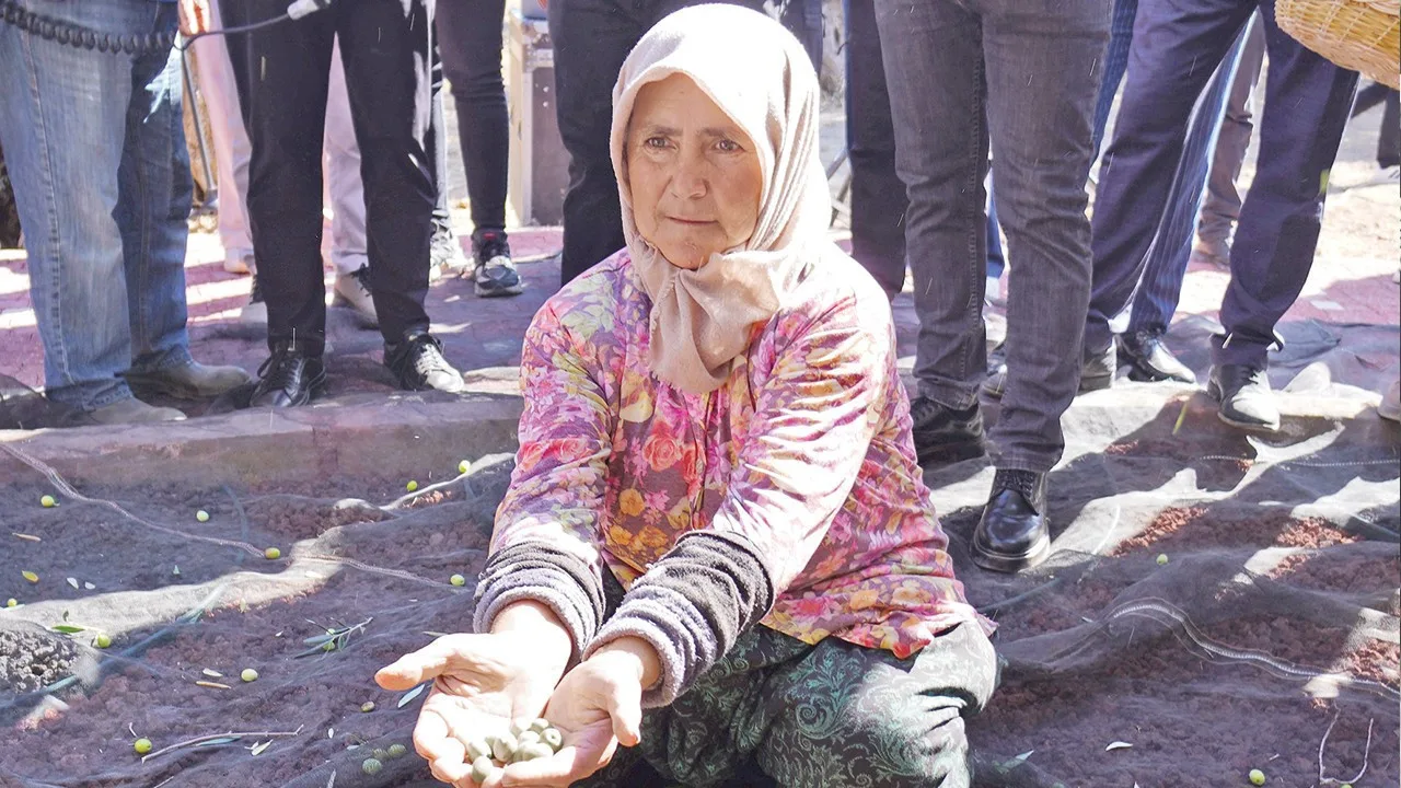 Edremit’te zeytin üreticisi için prim desteği çağrısı
