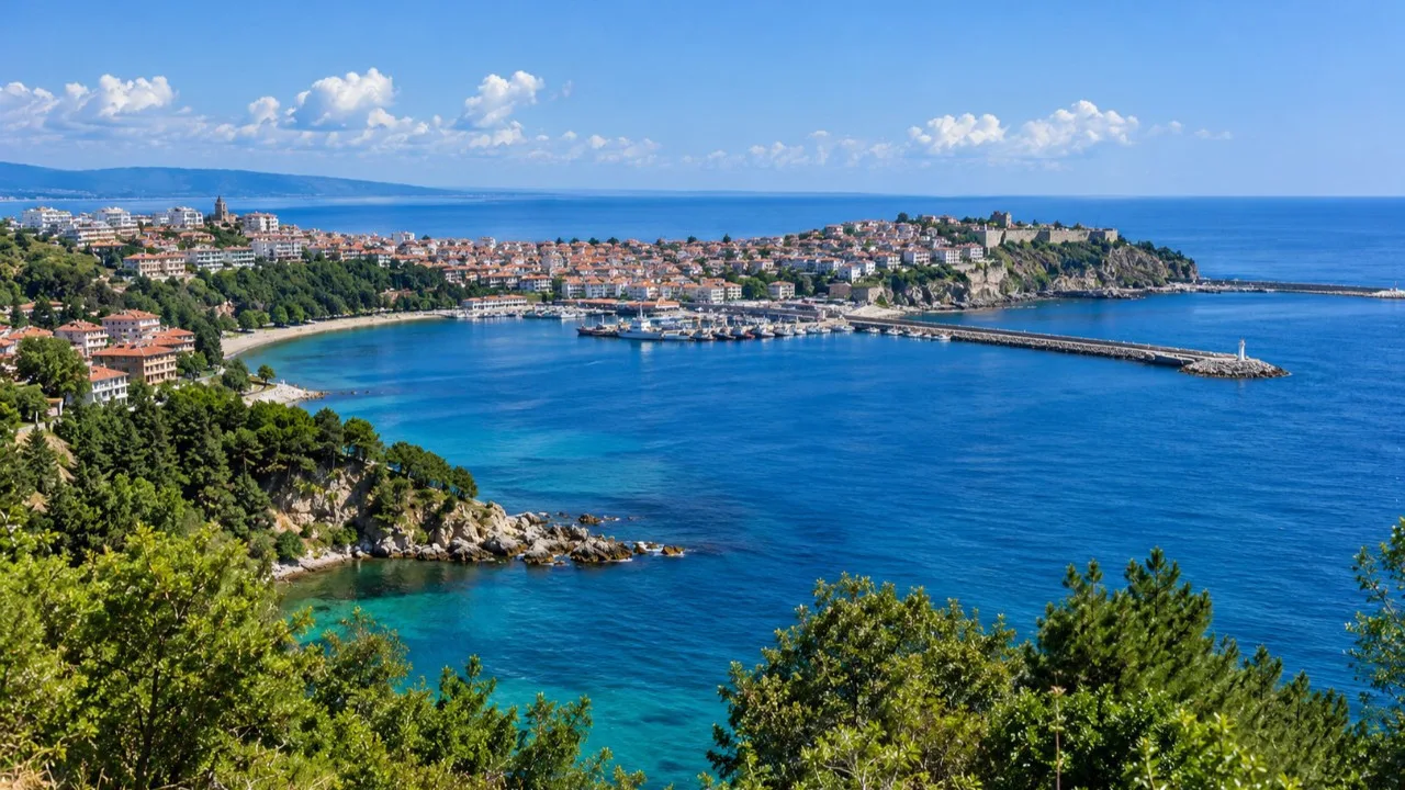 Kanada ile Sinop nükleer santrali için ortak çalışma gündemde